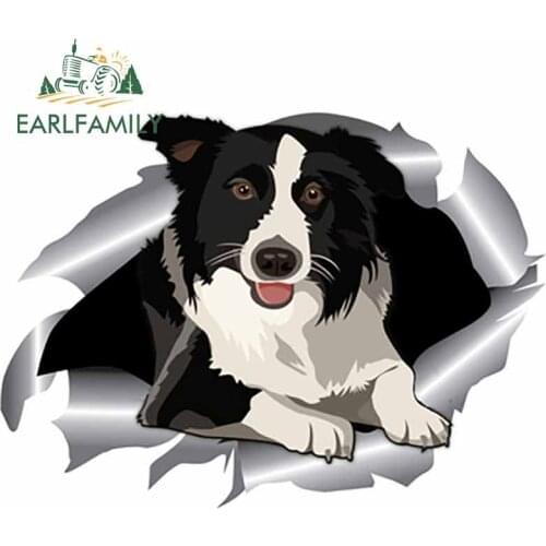 EARLFAMILY 13cm x 9.5cm For Border Collie Occlusion Scratch Car Stickers Car Decoration Decal Suitable For VAN RV Repair Decor