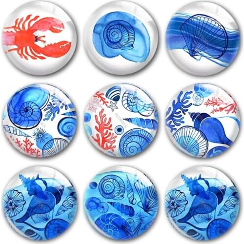 Water color oceanlife glass cabochon,Seashell Conch Lobster Coral Round photo glass cabochon demo flat back Making findings