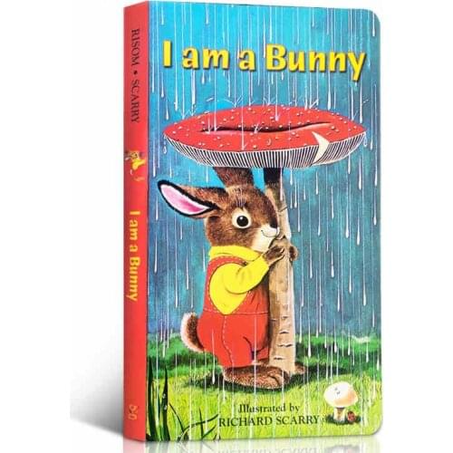 English board book I am a Bunny hard card picture book 0-3 kids children reading feel seasons early education