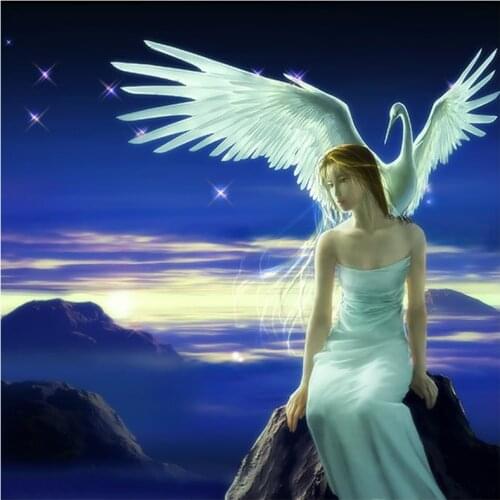 5D Diy Full Square/Round Diamond Painting “Crane & Beautiful Girl" 3D Embroidery Cross Stitch Rhinestone Mosaic Home Decor YC175