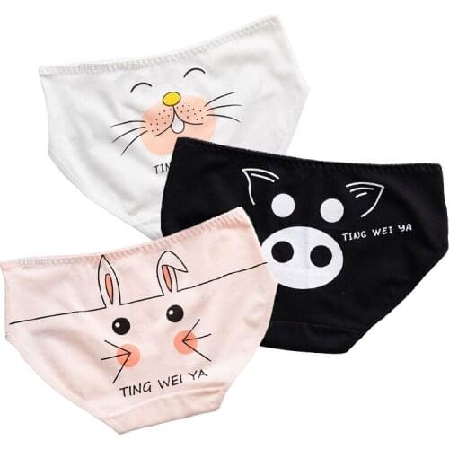 3Pcs/lot Womens Panties Cotton Underwear Women Sexy Cartoon Seamless Briefs Girls Lingerie Cute Female Underpants Lovely M-XXL