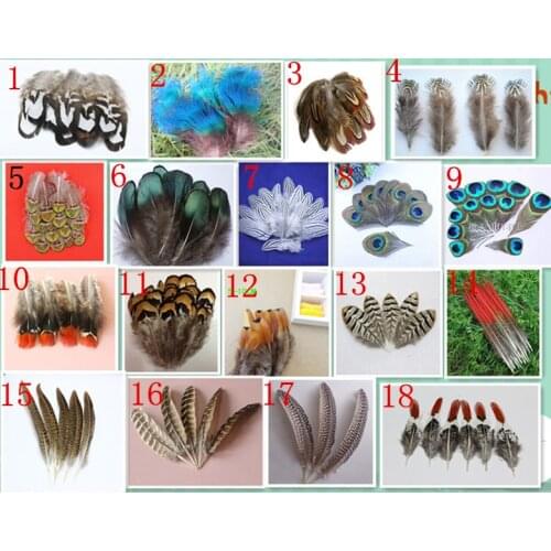 Various Beautiful Natural Animal Feathers After Carefully Selected for Christmas Festive Decoration & DIY Handicrafts Bookmarks