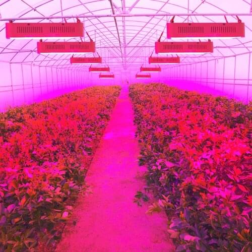 LED Grow Light Full Spectrum 1600W Growing Lamp For Indoor Plants Greenhouse Hydroponics Seeds 120W 400W 600W 800W 1200W