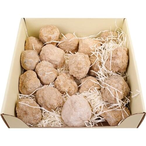 1pcs Geode Agate Raw Crystal Mineral Crystals Natural White Stone Cavity For Collection Lovers Specimen Study Irregular Stone