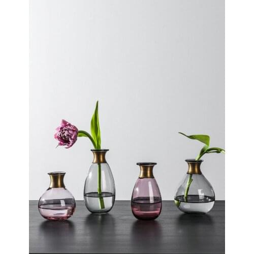 NEW Glass vase Copper ring mouth small flower vases Dry flowers for vase Hydroponic Container vase for wedding home decoration
