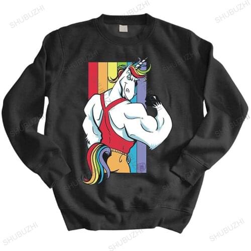 Men sweatshirts spring top Homme Unicorn Rainbow Gay Pride Ugly cotton fashion hoodies unisex sweatshirt men hoodie euro size