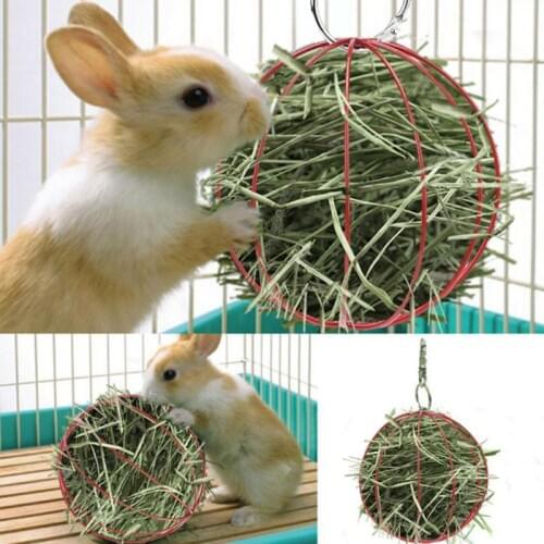 Shape Grass Feeder Tool Manger Food Ball Rabbit Hamster Grass Rack Hamster Cage Hanging Decor Hamster Toy Plating Pet Hay Ball