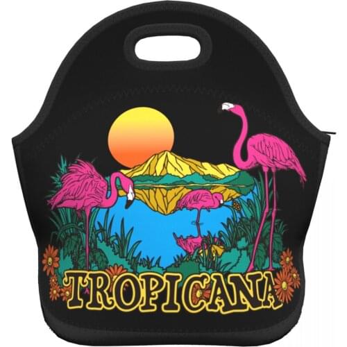 Flamingo Women Girls Lunch Bags for Work School Picnic Camping Neoprene Top Handle Lunch Box Fruits Drinks Organizer Pouch Bags