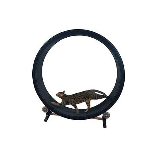 Pet cat climbing frame, cat toy, cat sports toy, cat climbing wheel, cat treadmill, cat running wheel