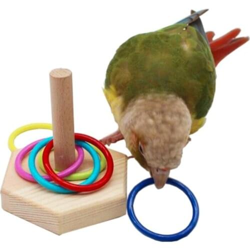 Wooden Bird Trick Tabletop Toys Parrot Training Color Ring Toys Cage Foot Toys