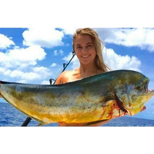 100% Original SHIMANO TWIN POWER SW Seawater Fishing Reel 6000PG 8000PG 10000PG 14000XG 11+1BB HAGANESaltwater Wheel