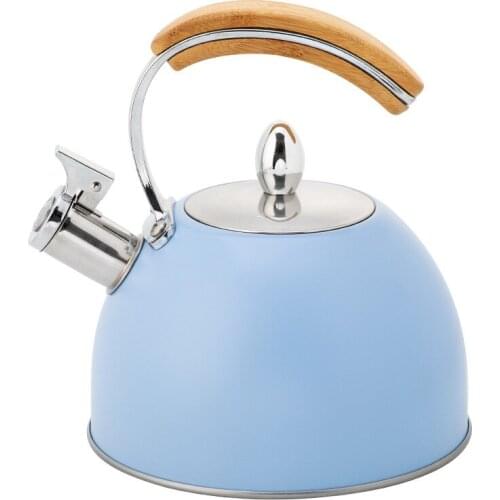 Boiling Blue Water Kettles 3l Kitchen Dining Bar Hot Water Kettles Whistle Camping Hervidor Agua Kitchen Supplies EH50WK