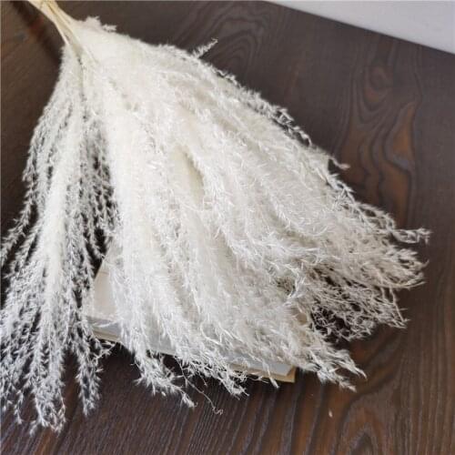 20pcs/45cm,Natural Bulrush white Grass Dried Flowers,Eternell Buddha dust Pampas Reed Wedding Party Home Decoration accessories