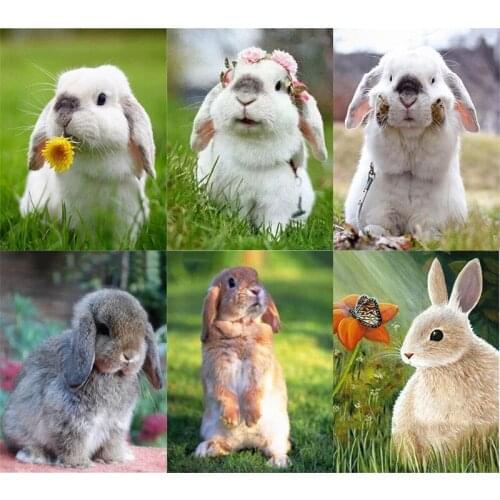 Kamy Yi 5D Diy Diamond Painting Rabbit Embroidery Cross Stitch Diamond Painting Home Decoration Gift