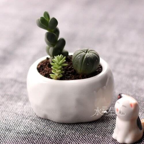 Simple white fans succulents ceramic zakka small bonsai pot plants vase flower container Pots