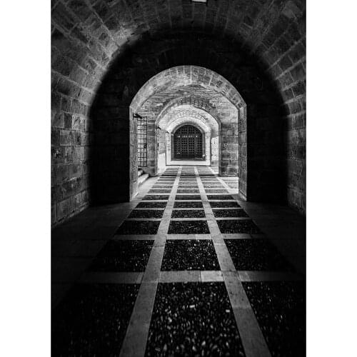 Vintage Brick Wall Passage Photo Background Vinyl Cloth Fond Backdrop for Children Baby Portrait Photoshoot Photography Props