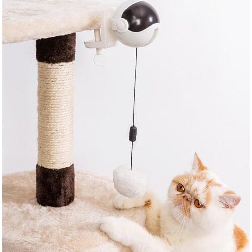 Shawlam Pet Supplies