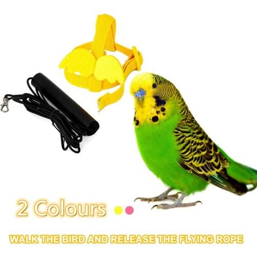 Outdoor Flying Anti Bite Bird Harness Leash Training Adjustable Parrot Traction Strap Rope Walking Bird Sling Har