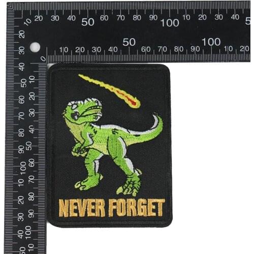 2pcs/5pcs Words Dinosaur Comet Badge Embroidered Tyrannosaurus Meteorite Falling Never Forget Patches Iron Sewing Decor Icon DIY