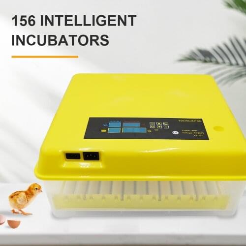 CE Approved Automatic 156 Egg Mini Incubator With A 13 Tube Roller Tray High Hatching Rate For Sale