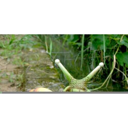 Gardening Decorative Art Work Halloween Skull Skeleton Snails Patio Figurine Gothic Statue Resin Craft Ornaments T7V6