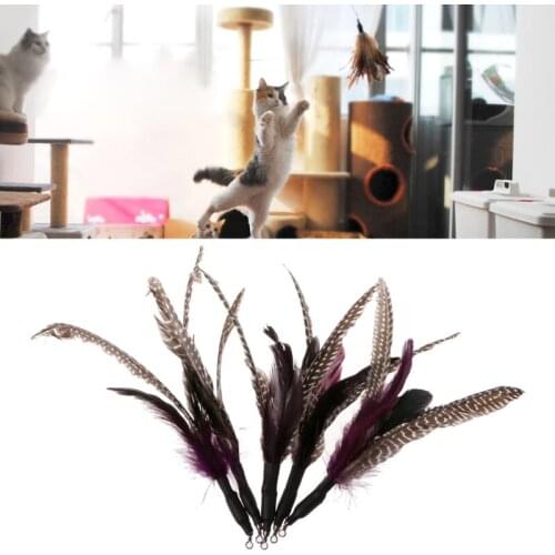 5PCS Handmade Natural Feather Cat Toy Da Bird Refills Interactive Teaser Sticks
