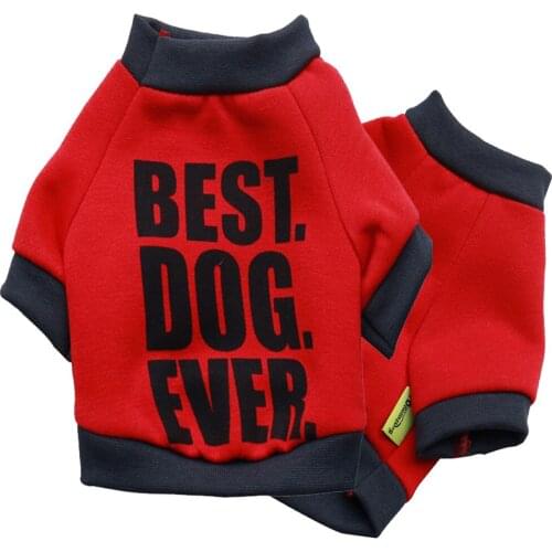 Spring and Autumn New Fashion Print Letters Color Combination Comfortable Sweater Long Sleeve T-shirt Puppy Dog Clothes