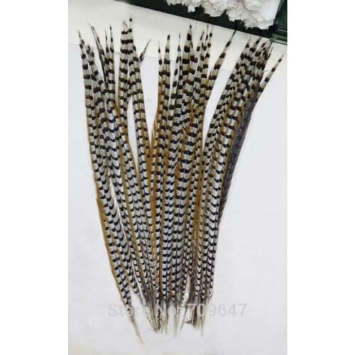 Long Feathers! 30Pcs/Lot! 40-43"(100-110CM) REEVES PHEASANT Tails Nature Long Reeves Feathers(Hats/Bridal/Costume)