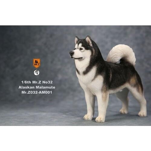 1/6 Alaskan Malamute Model, Simulation Dog Resin Decoration Animal Peripheral Figure Indoor decoration Gift Box