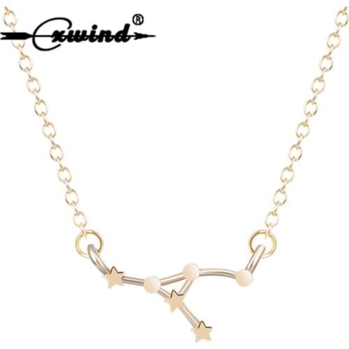 Cxwind 12 Zodiac Sign Cancer Necklace Zodiac Sign Astrology Necklace Constellation Jewelry Birthdy Gift 22/6-22/7