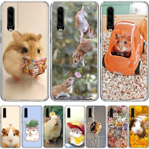 Cute Lovely Pet Hamster Silicon Phone Case For Huawei P30 P20 P40 P10 Mate 30 20 10 Pro Lite P Smart Z Plus + Pattern Cover Coqu