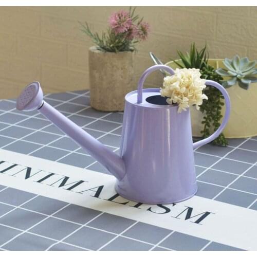 Tin watering pot watering pot long mouth Peng pot household flower children watering pot sprinkler head