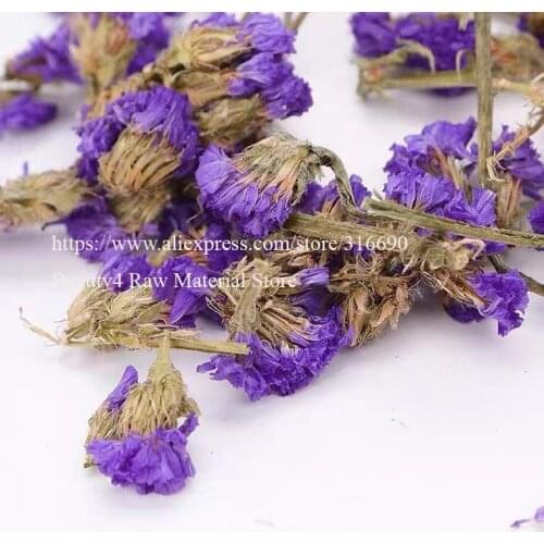 Purple Sea-lavender Myosotis sylvatica