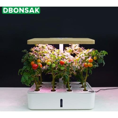 Intelligent Hydroponic Planter Soilless Cultivation Equipment Nursery Flower Planting Box Automatic Water Absorbing Flower Pot