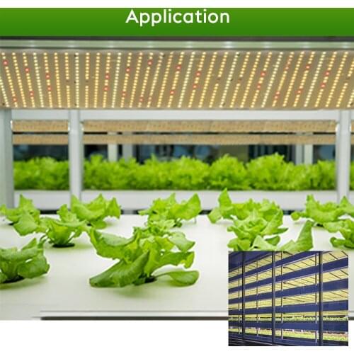 Idea grow 120W 220W quantum Led Grow Light board lamp for seeds indoor Plants IR full spectrum Phytolamp red light switch