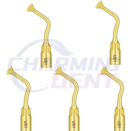 Dental Piezo Scaler Ultrasonic Tips Bone Cutting Surgical Tips US1 Saw Osteotomy / Piezosurgery Mectron Ultra Surgery Machine