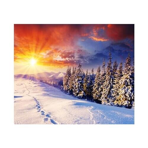 14/16/18/27/28 Top Quality Beautiful Counted Cross Stitch Kit Abstraction Beauty and Grape A13095 scenery snow sunset