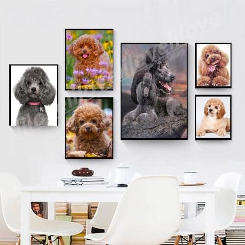 5d-diamond-painting "Teddy Poodle dog" Full Square/Round 3D Diamond Embroidery Sale picture of rhinestones home decoration TY735