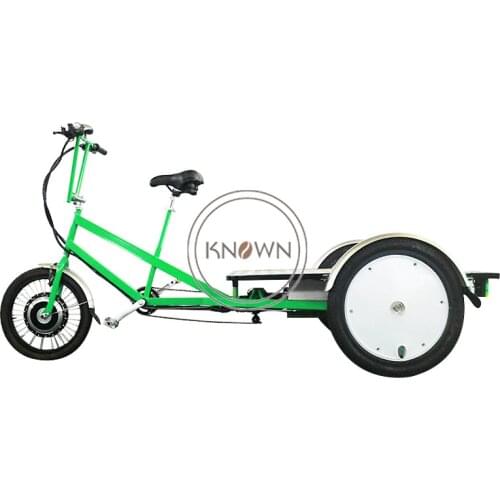 Lithium Battery Motor Cargo Electric Tricycle Bike Street Food Cart Bicycle