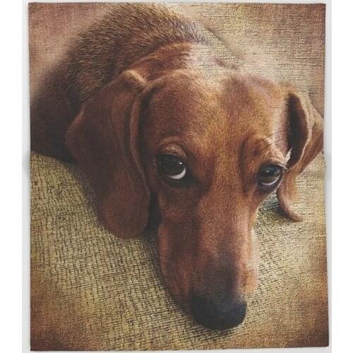 Pet Blanket Funny Printed Soft Boy Girl Baby Coral Fleece Dachshund Blankets Muti-size Spring Warm Sofa Bed Sheets