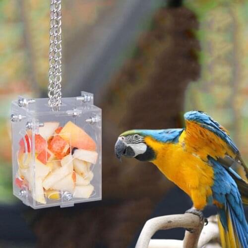 Parrot Creative Foraging Chew Toy Feeder Bird Intelligence Training Bird Cage Acrylic Feeding Box for Cockatiel Budgie