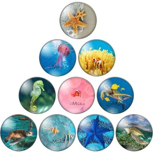New Fish starfish turtle Seahorse 10pcs 8mm/10mm12mm/18mm/20mm/25mm Round photo glass cabochon demo flat back Making findings