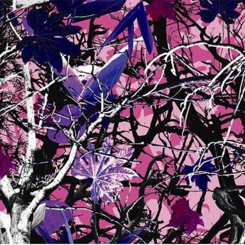 Free shipping 0.5mX2m purple trees hydrographics film CSMR9025B water transfer printing