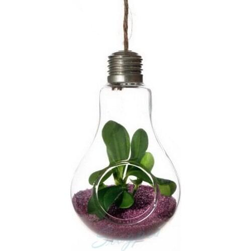 Hot Planting Hanging Decorative Glass Vase Bulb Shape with a 50mm Opening W75xH130mm Free Shipping 4pcs/lot