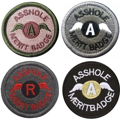 Wings Embroidery Patch Armband Badge Military Decorative Sewing Applique Embellishment Tactical Patches