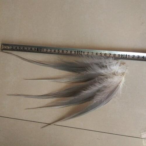 10 PCS of rare natural gray Heron feathers long 10-12 inches / 25-30 cm beautiful feathers
