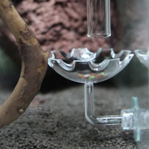 Shrimp Feeding Dish Transparent Feeder Container for Shrimp Tropical Fish African Dwarf Frog