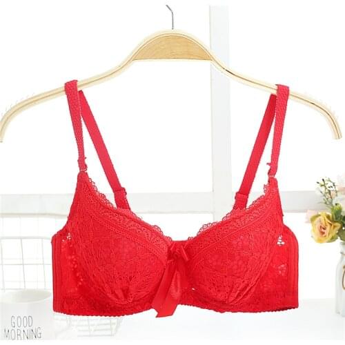 3/4 Cup Lolita Cute Lace Brassiere for Young Girls Sexy Lace Push Up Bras Adjustable Breathable Underwire Sexy Lace Lingerie Bra