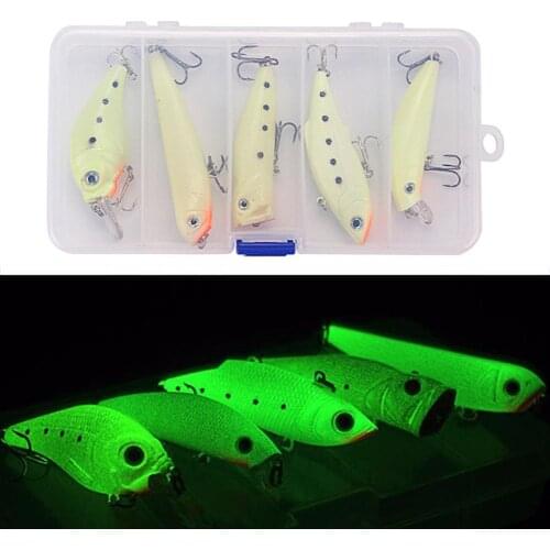 5PCS Fishing Lures 3D Fluorescent Simulation Luminous Lure Fishing Bait Set Night Glow Fishing Bait Kit With Tackle Box