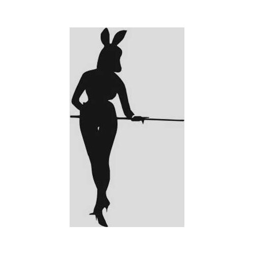 Lovly bunny girl Sexy hot girl bikini tease Wall Sticker Home Decor Decals fashion design DIY custom made sticker Wall Vinyl